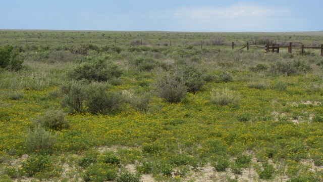 File:Nice shot of spring at Timpas Picnic Area (09b77403fefe4acfae0e74b7a72383fe).JPG