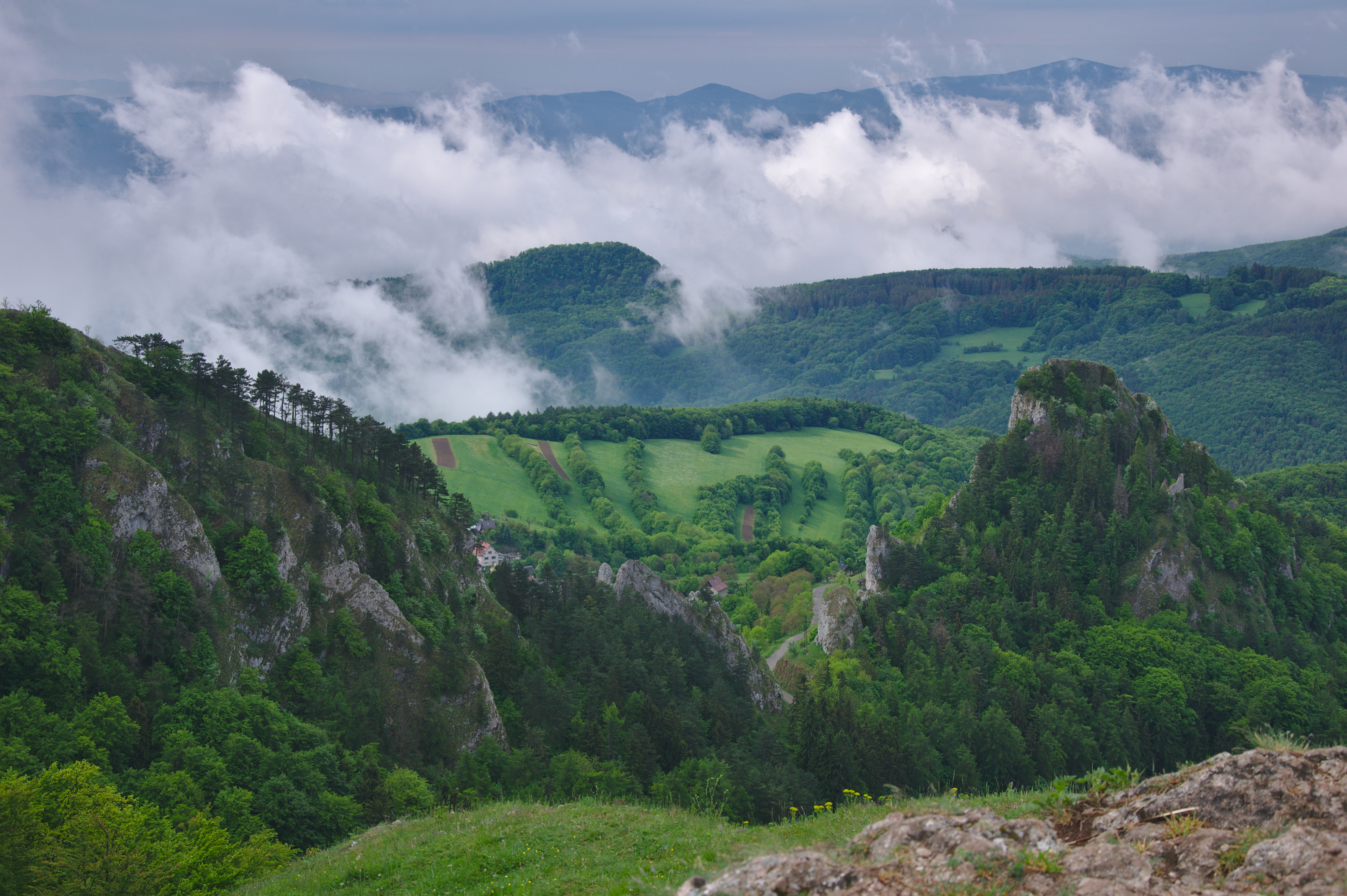 File:Přírodní rezervace Vršatské hradné bralo, okres Ilava (04