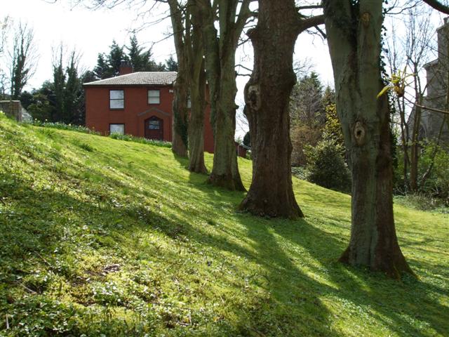 File:Parochial House, Omagh - geograph.org.uk - 769596.jpg