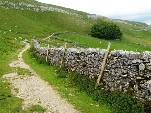 File:Path off Stockdale Lane to Malham - geograph.org.uk - 1366949.jpg