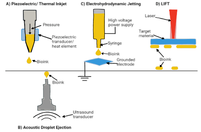 File:Schematic illustration of different material jetting bioprinting processes.png