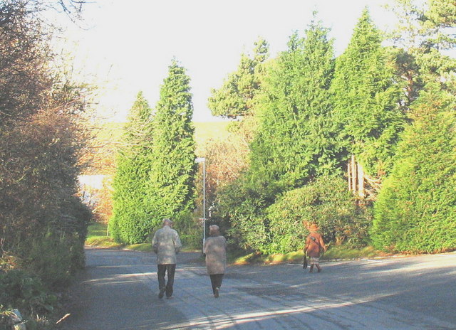 File:Strollers in the camp avenue on a beautiful November morning - geograph.org.uk - 619410.jpg