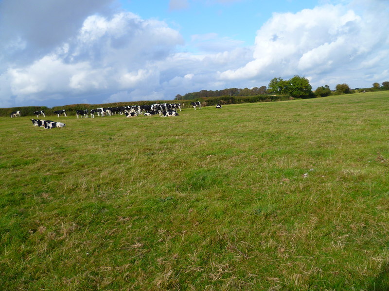 File:The Orange Way in Dorset and Somerset (164) - geograph.org.uk - 3153983.jpg