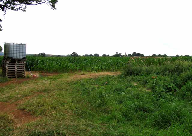 Towards Branston - geograph.org.uk - 3350135