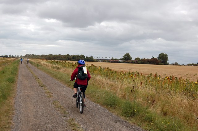 File:Track to Nase Wick - geograph.org.uk - 1492399.jpg