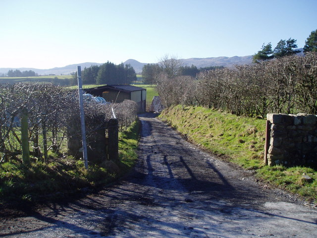 File:Track to Tyn-y-Rhos - geograph.org.uk - 328198.jpg