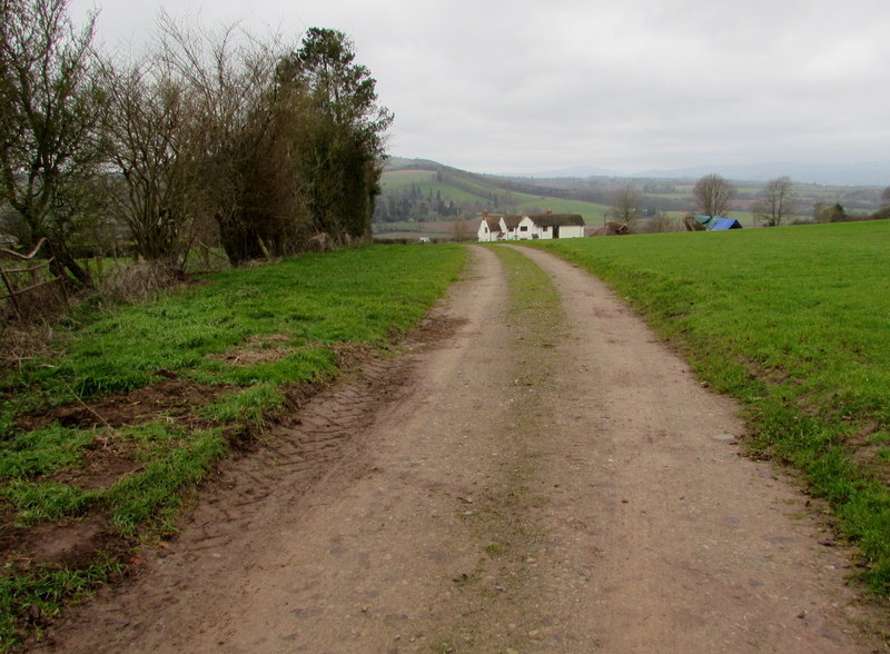 File:Track towards the A49, Much Birch - geograph.org.uk - 4522275.jpg