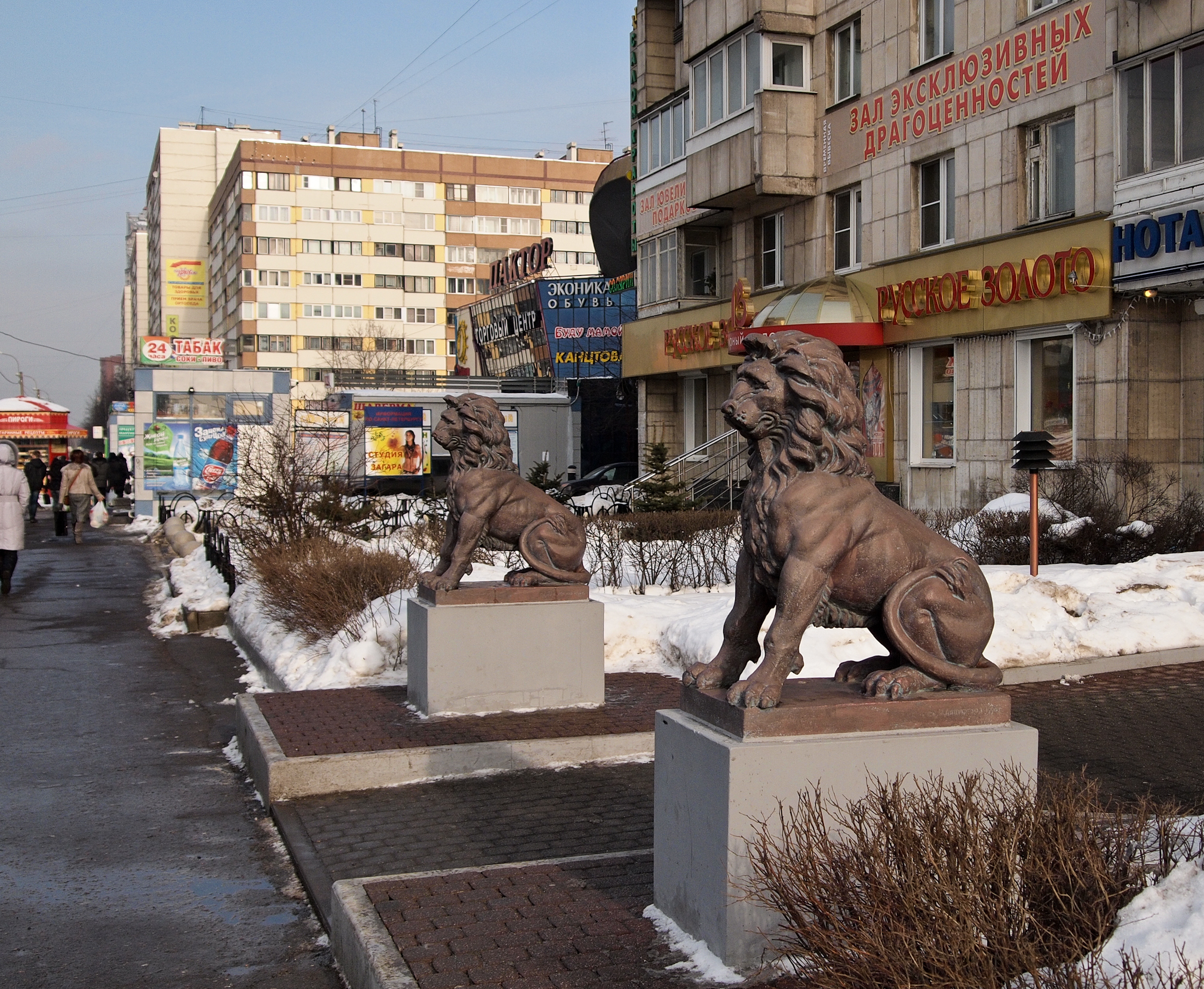 Нотариус проспект энгельса. Нотариальная контора, Санкт-Петербург, проспект Энгельса. Львы на Энгельса 111. Энгельса 66 СПБ. Энгельса 111 к 1.