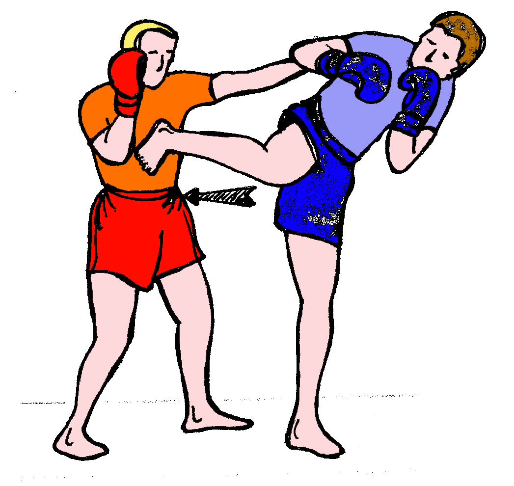 mule kick - Simple English Wiktionary