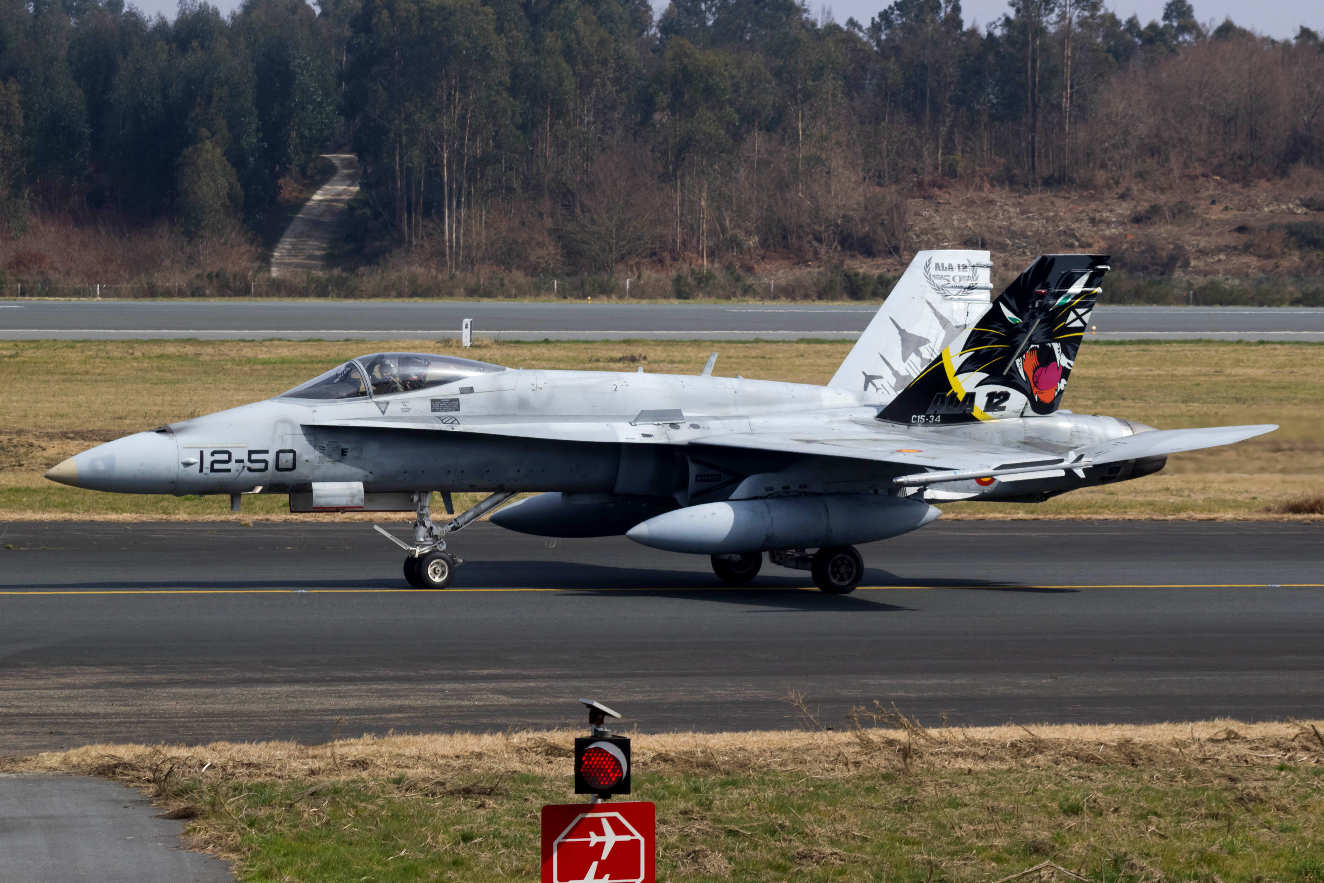 C 15. MCDONNELL Douglas f-17.