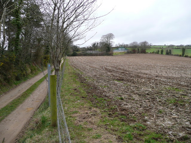 File:Corn stubble - geograph.org.uk - 705064.jpg