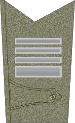 File:Czechoslovak Gendarmerie OF-5 - Plukovník (1919-1921).png