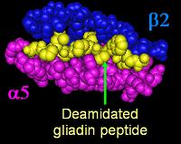 File:DQa2b5 da gliadin.JPG