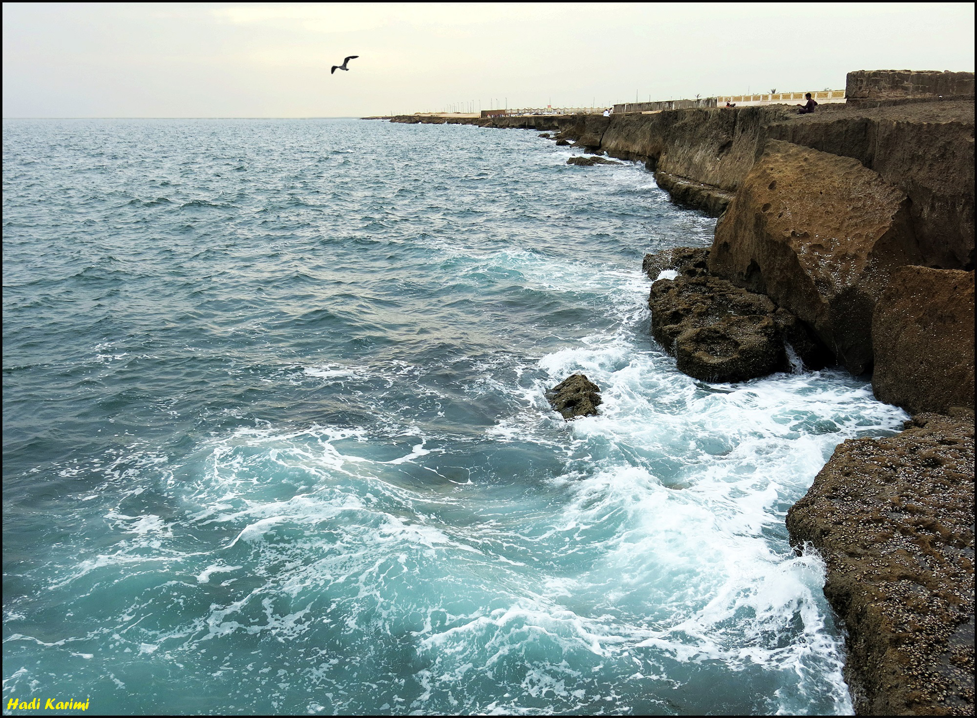 سئو چاه بهار