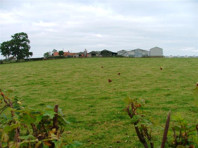 File:Doddle Hill Farm - geograph.org.uk - 66760.jpg