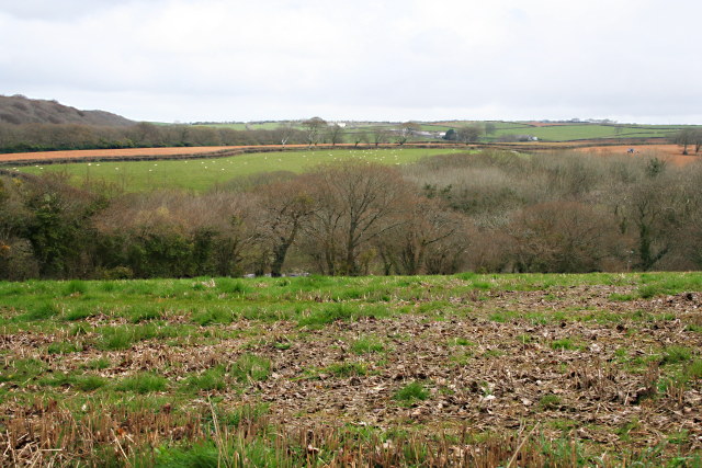 File:Farmland and Woodland - geograph.org.uk - 751420.jpg