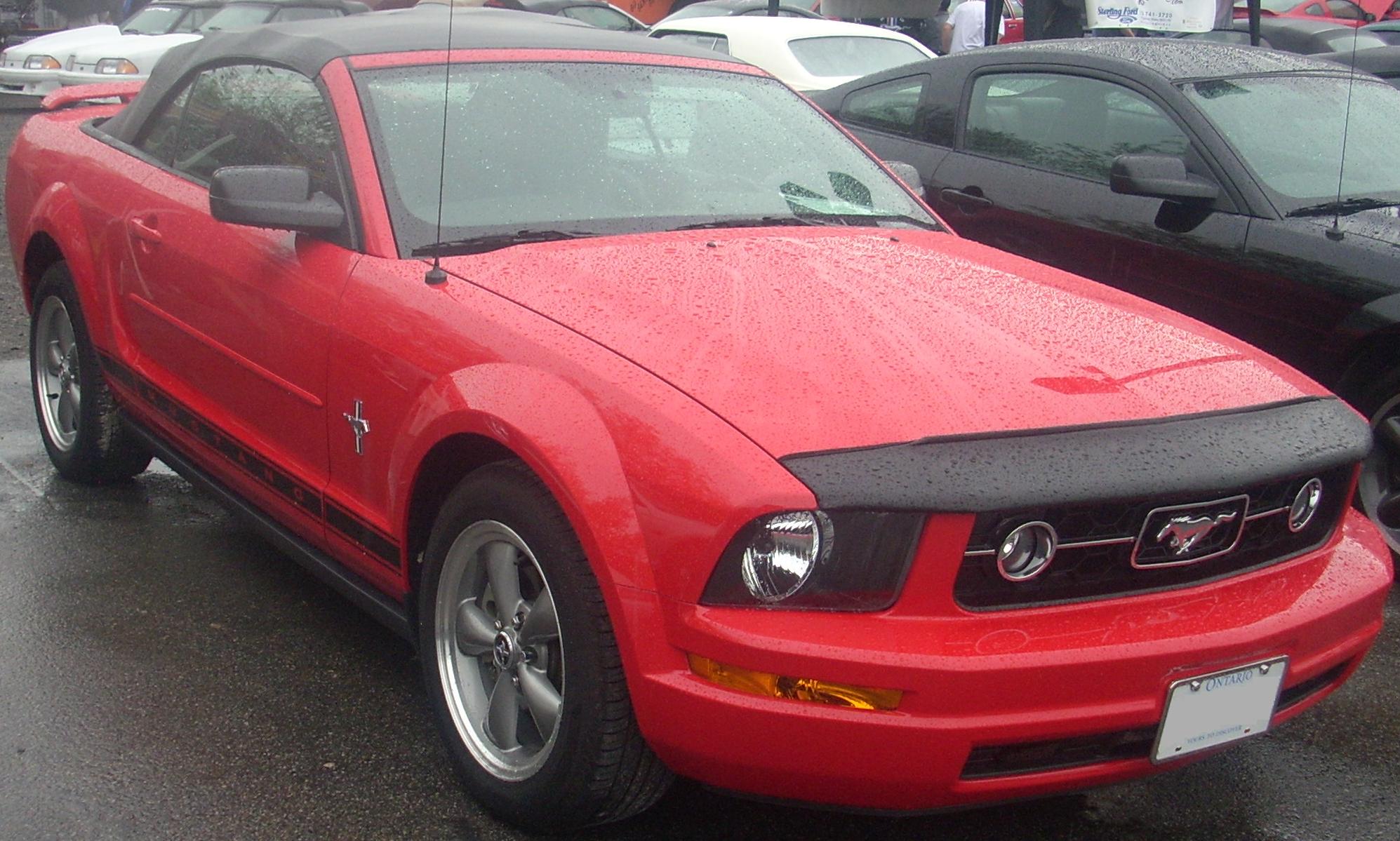 Koobic pony mustang