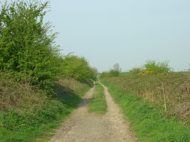 File:Green Lane Towards Sledmere Grange - geograph.org.uk - 1269459.jpg