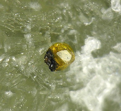 File:Greenockite-Chalcopyrite-Prehnite-210604.jpg