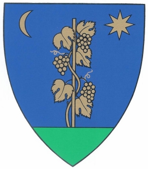 File:HUN Tápiószőlős COA.jpg