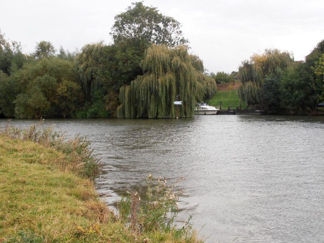 File:Hiding behind the willows - geograph.org.uk - 3175889.jpg