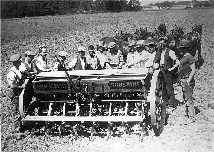 File:Horsedrawn seed drill - Scheyville (2947825839).jpg