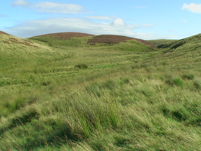 File:Looking up the Fulhope to the Lucking Burn - geograph.org.uk - 1465481.jpg