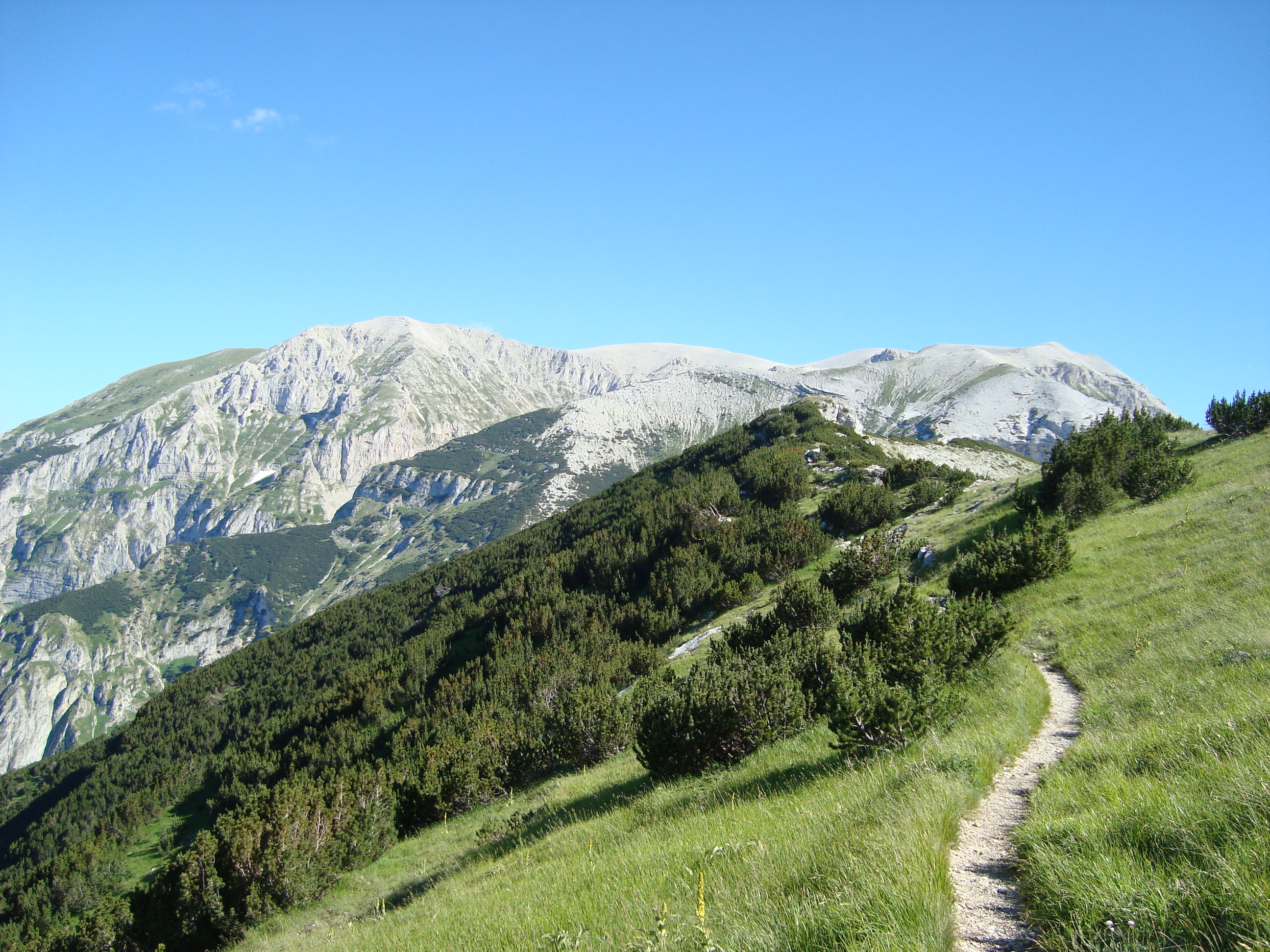 Mountain article. Национальный парк Маелла. Парк Майелла Италия. Горы Майелла. Гора Амаро.