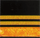 rank insignia of a Oberstleutnant in Austria