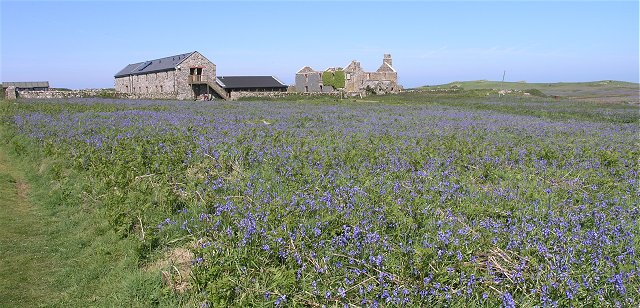 File:Old Farm, Skomer Island - geograph.org.uk - 1329640.jpg