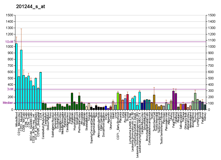 File:PBB GE RAF1 201244 s at fs.png