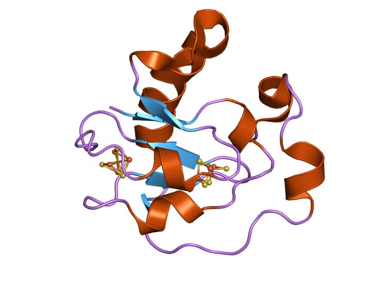 File:PDB 1frm EBI.jpg