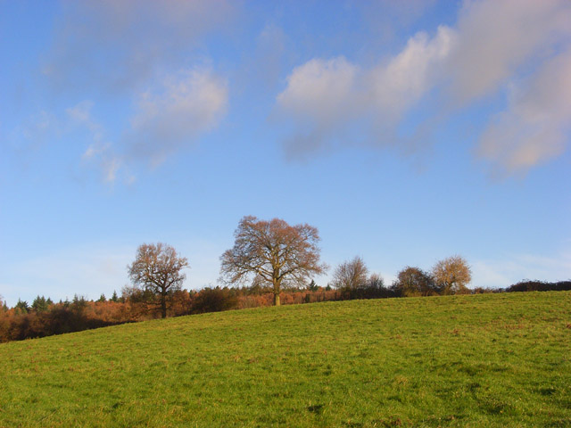 File:Pasture, Knowl Hill - geograph.org.uk - 1059575.jpg