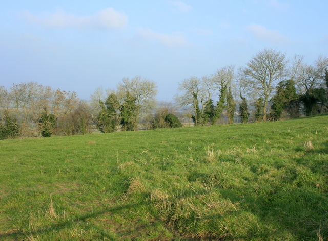 File:Pasture on Hinton Hill - geograph.org.uk - 1105707.jpg