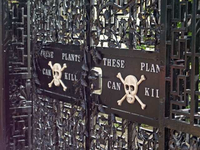 Archivo:Poison Garden gate Alnwick - geograph.org.uk - 907906.jpg