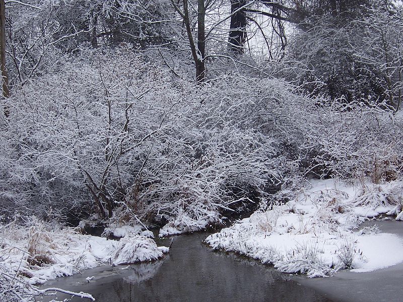 File:Pond in winter.jpg