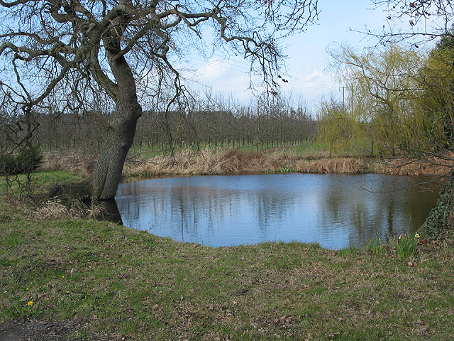 File:Pond on Hampton Park Road - geograph.org.uk - 723490.jpg