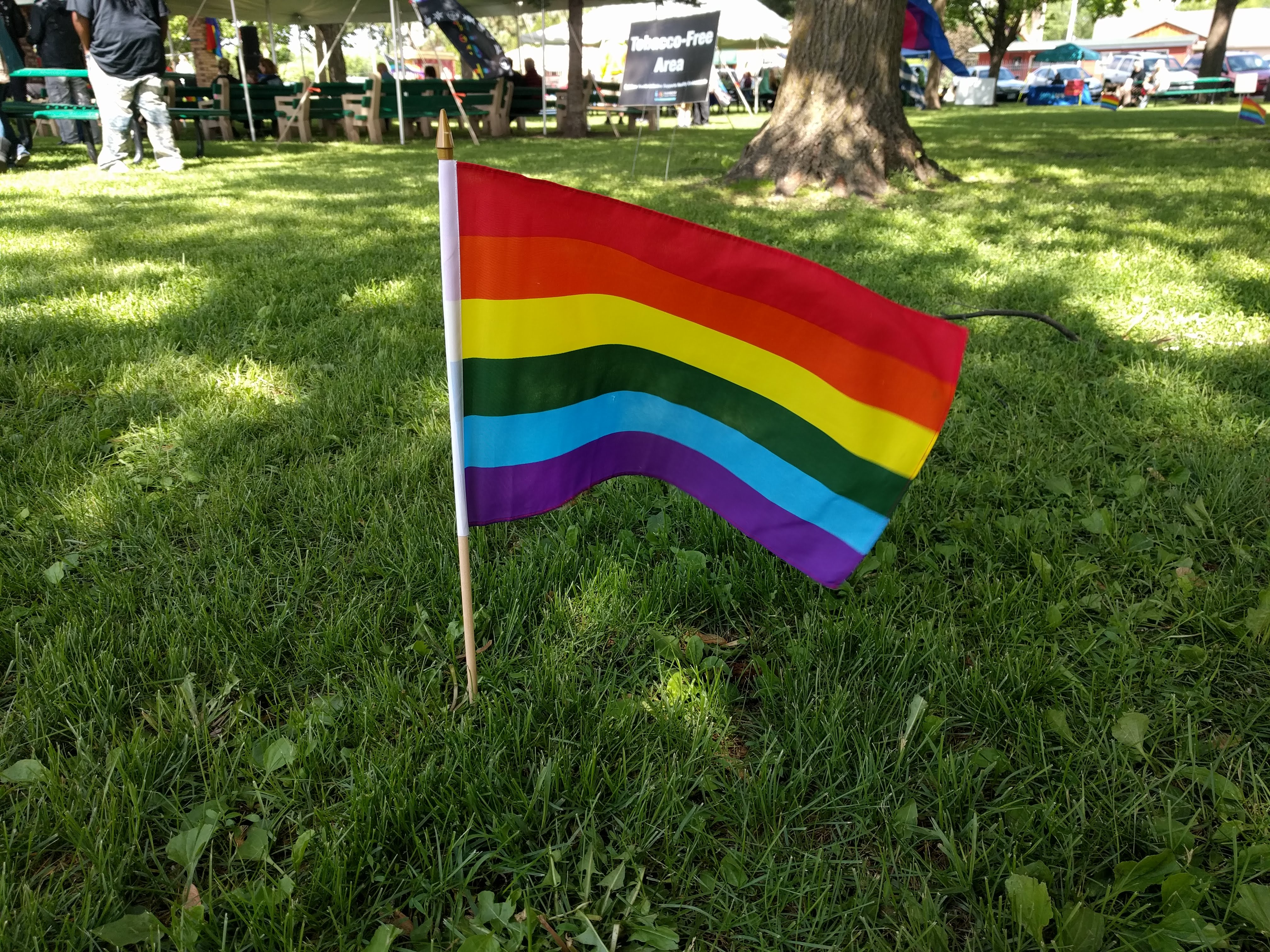 Pride flags. Флаг ЛГБТ. Pride флаг. ЛГБТ В 2018. Прайд флаг новый.