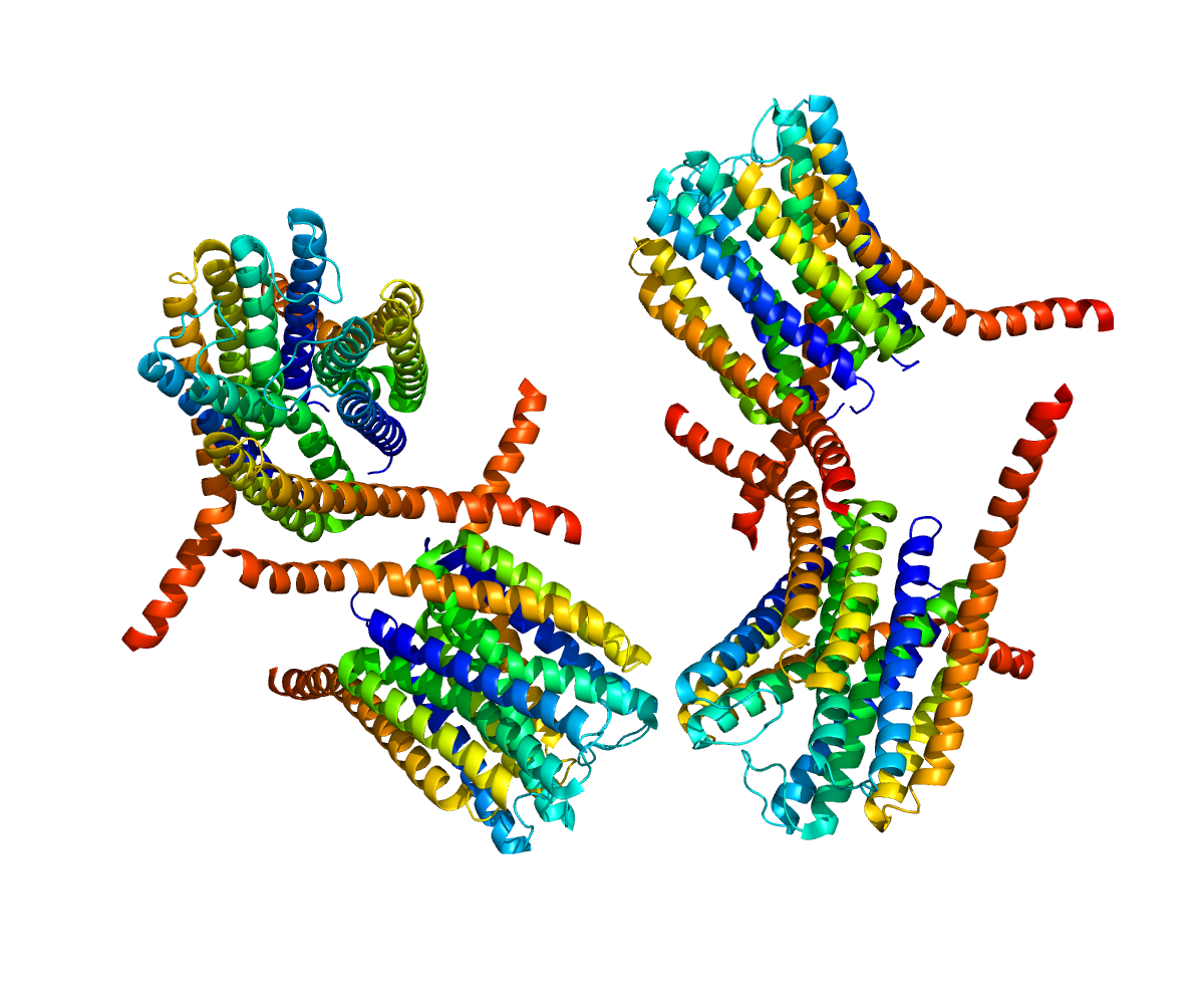 Leukotriene C4 synthase