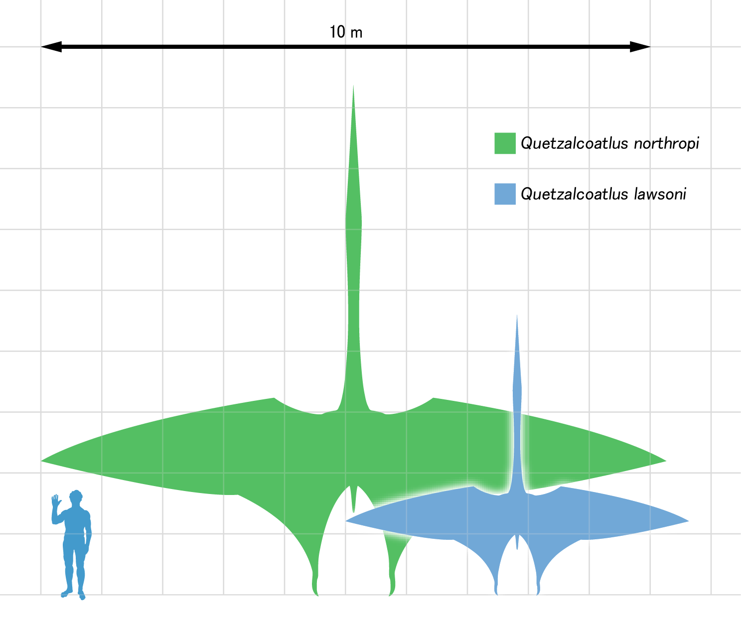 Taille QUETZALCOATLUS