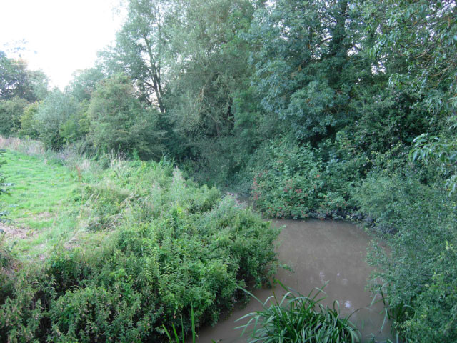 River Itchen, near Southam - geograph.org.uk - 1421524
