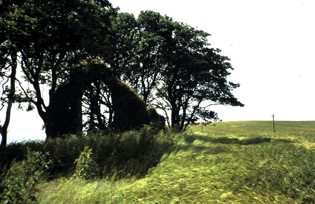 File:Ruins of St. Adamnan's Chapel - geograph.org.uk - 1181579.jpg