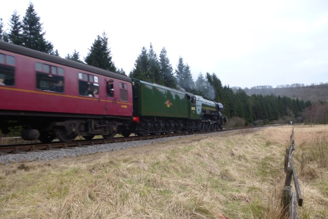 File:Scotsman passing the crossing - geograph.org.uk - 4874871.jpg