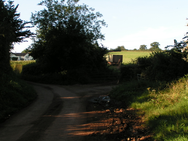 File:The end of Hulk Lane at Yellowford - geograph.org.uk - 1443117.jpg