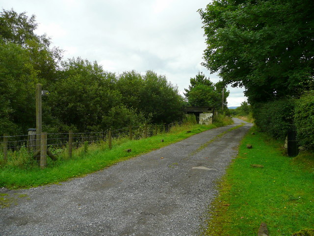 File:Track and footpath to Wyrfa-uchaf - geograph.org.uk - 918184.jpg