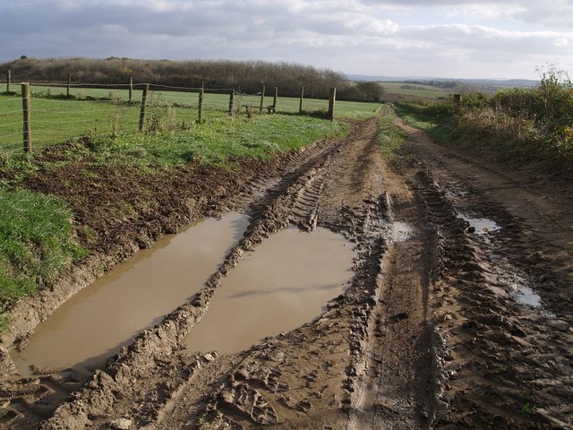 File:Track to Beardon - geograph.org.uk - 608764.jpg