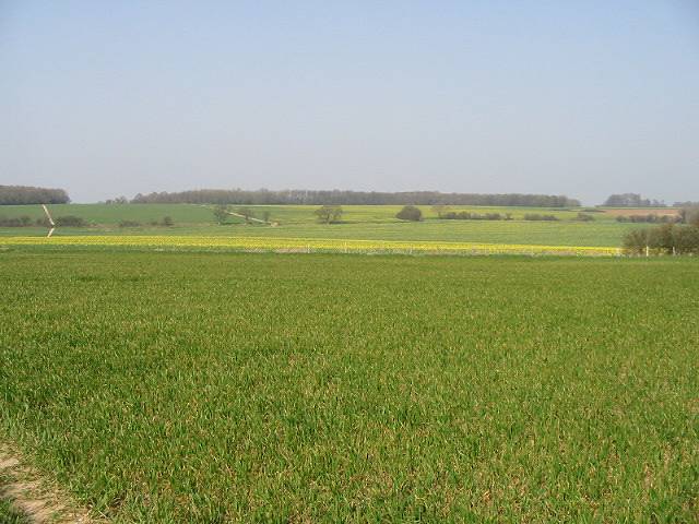 File:View across farmland - geograph.org.uk - 387369.jpg