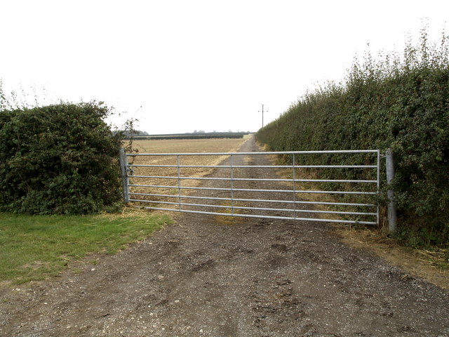 File:Wolds' farm Track - geograph.org.uk - 565046.jpg