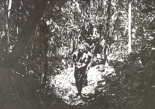 File:AWM 078948 1st New Guinea Bn troops on patrol February 1945.JPG