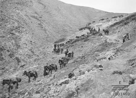 File:Australian 1st Light Horse Regiment AWM Photo B01468.jpg